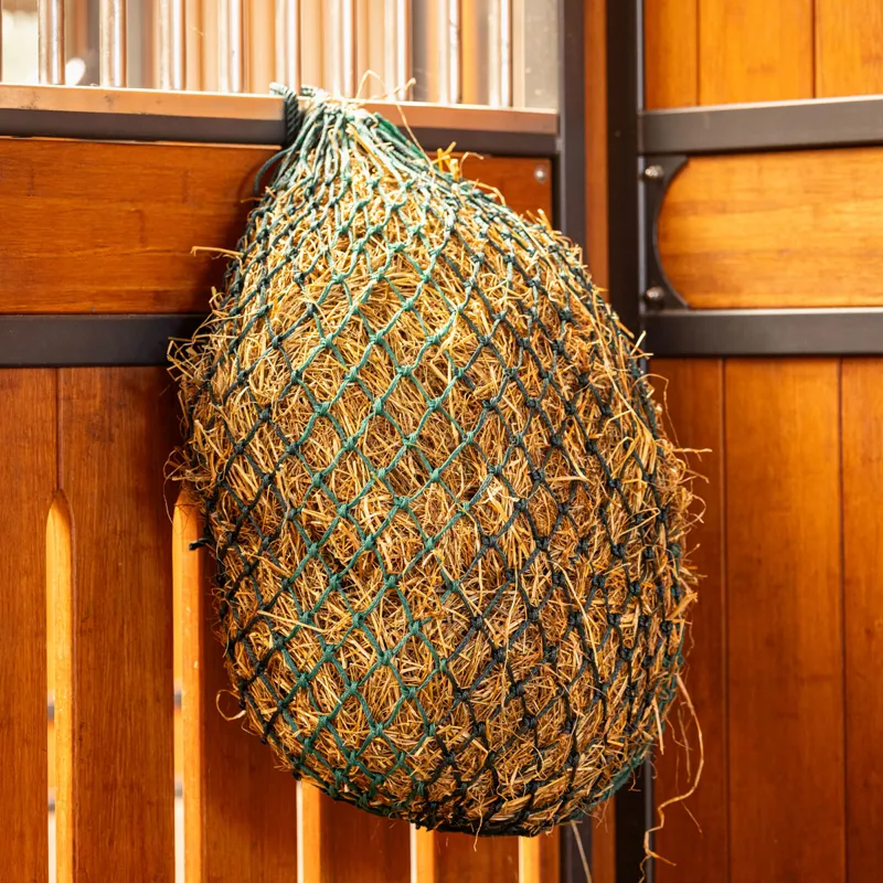 LeMieux Hippo Haynet - Spruce-1