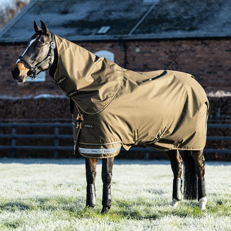 LeMieux Arika Ripstop 600D 200g Detachable Neck Turnout Rug - Alpine