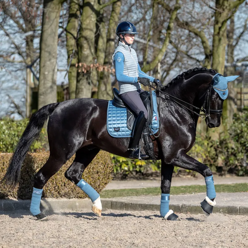 LeMieux Loire Fly Hood - Ice Blue-1