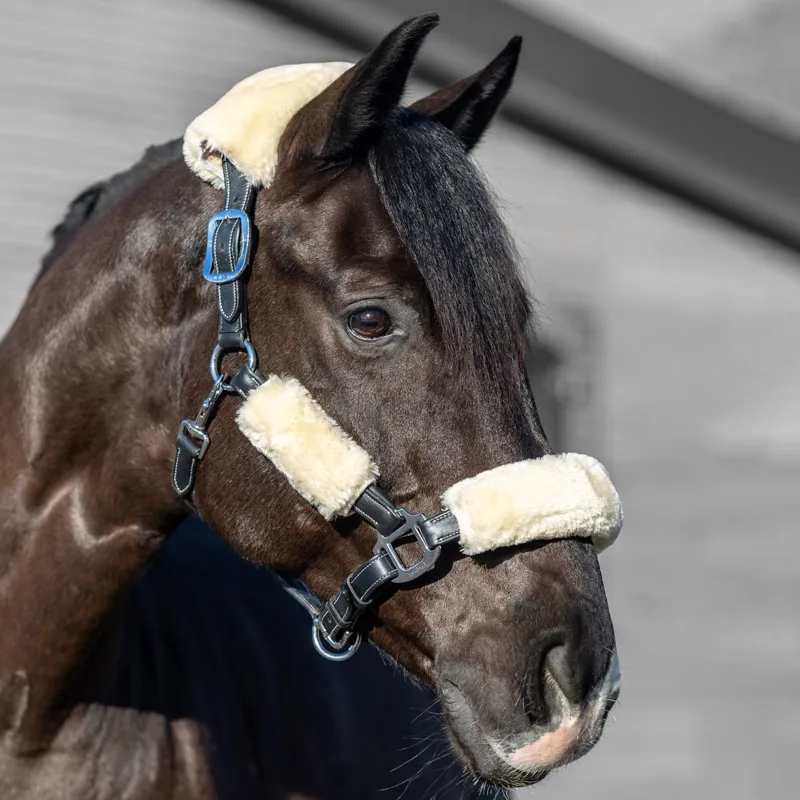 LeMieux Simuwool Headcollar Cover Set - Natural-1