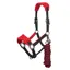 LeMieux Vogue Headcollar and Lead Rope Set - Chilli/Black