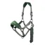LeMieux Vogue Headcollar and Lead Rope Set - Hunter Green/Grey