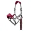 LeMieux Vogue Headcollar and Lead Rope Set - Mulberry/Grey