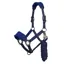 LeMieux Vogue Headcollar and Lead Rope Set - Navy/Royal