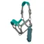 LeMieux Vogue Headcollar and Lead Rope Set - Peacock Green/Grey