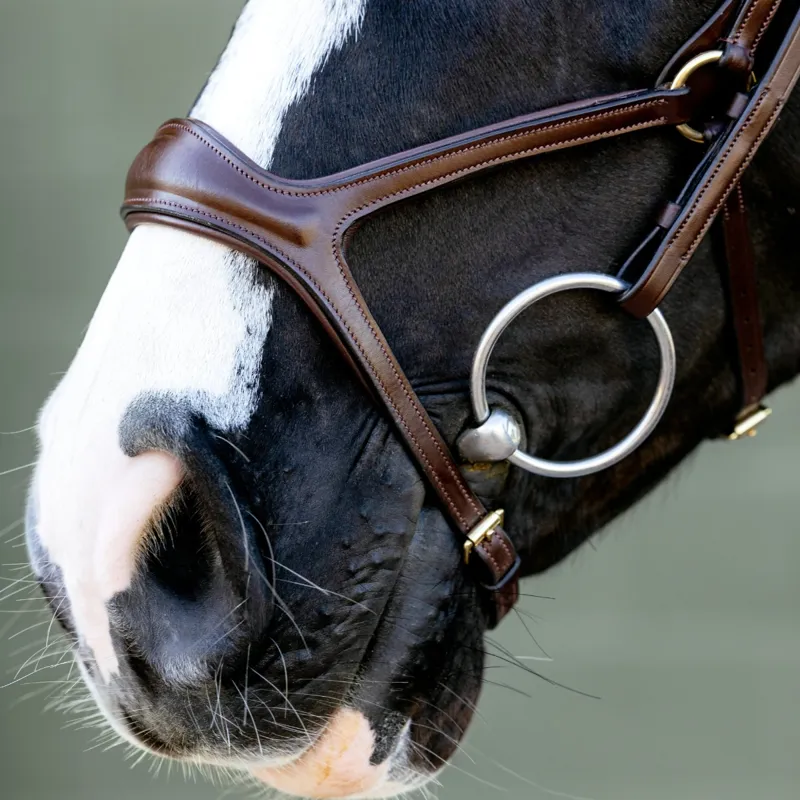 LeMieux Kudos Sport Bridle - Brown-3