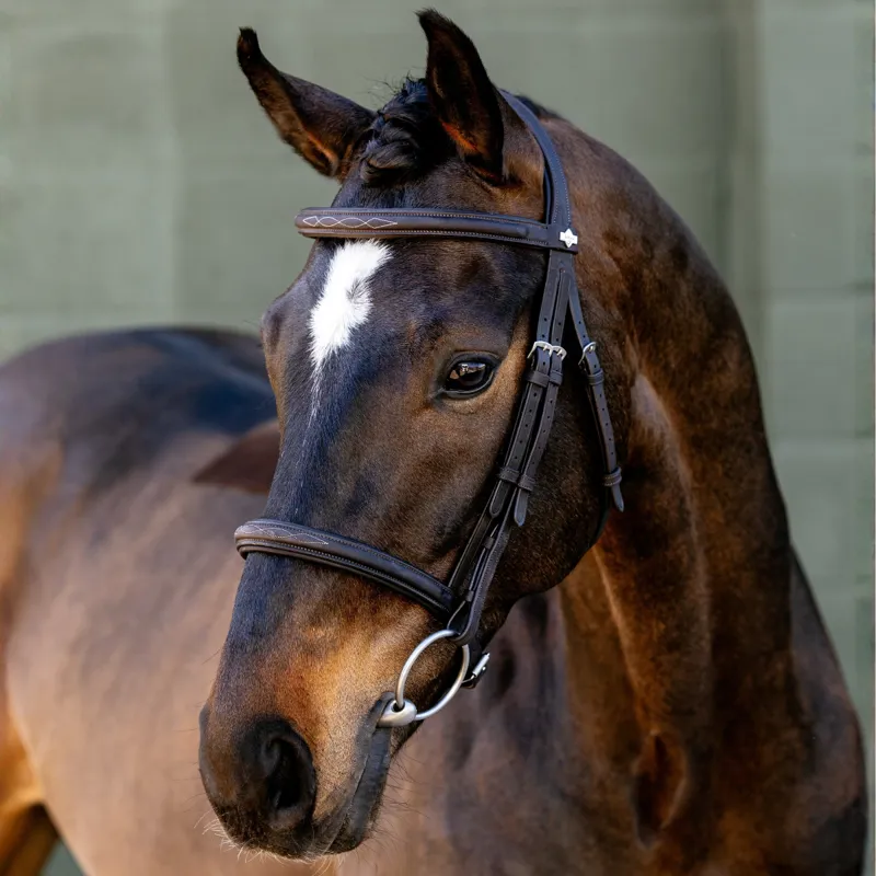 LeMieux Classique Cavesson Bridle - Brown-1