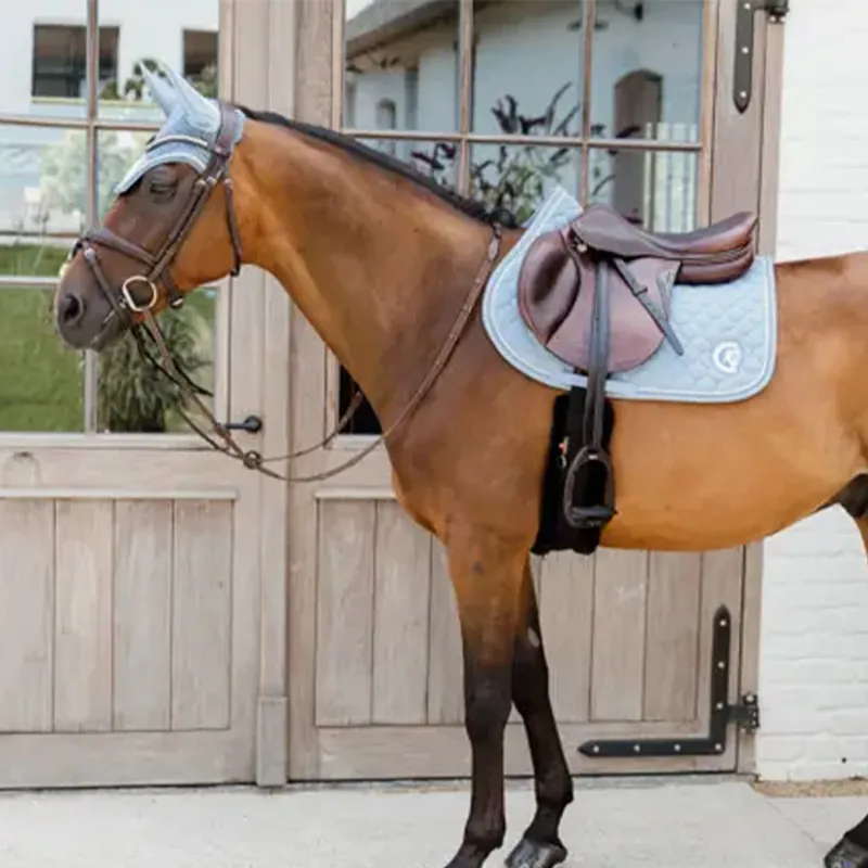 Kentucky Wellington 3D Logo Rope Fly Veil - Light Blue-3