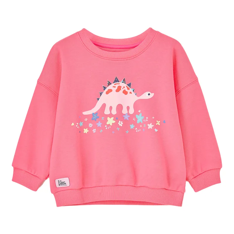 Lighthouse Flora Junior Girls Sweater - Steggie Print-4