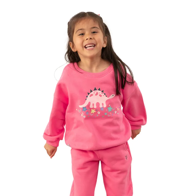 Lighthouse Flora Junior Girls Sweater - Steggie Print-1