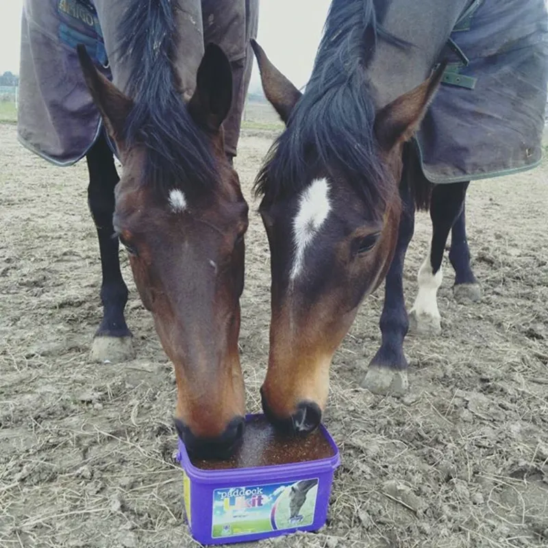 Likit Paddock Lick-1