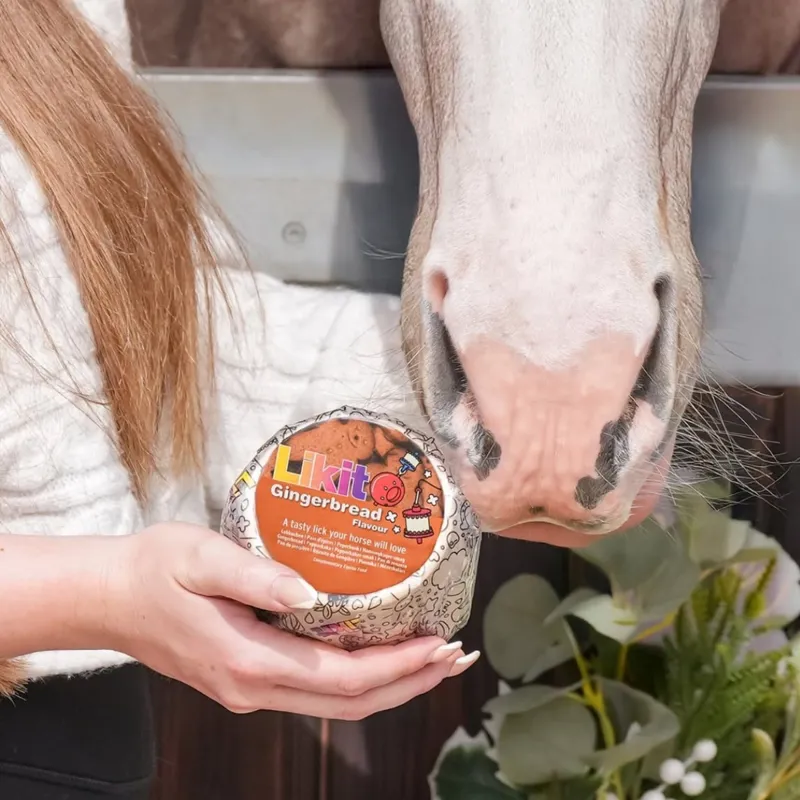 Likit Refill - Gingerbread-1