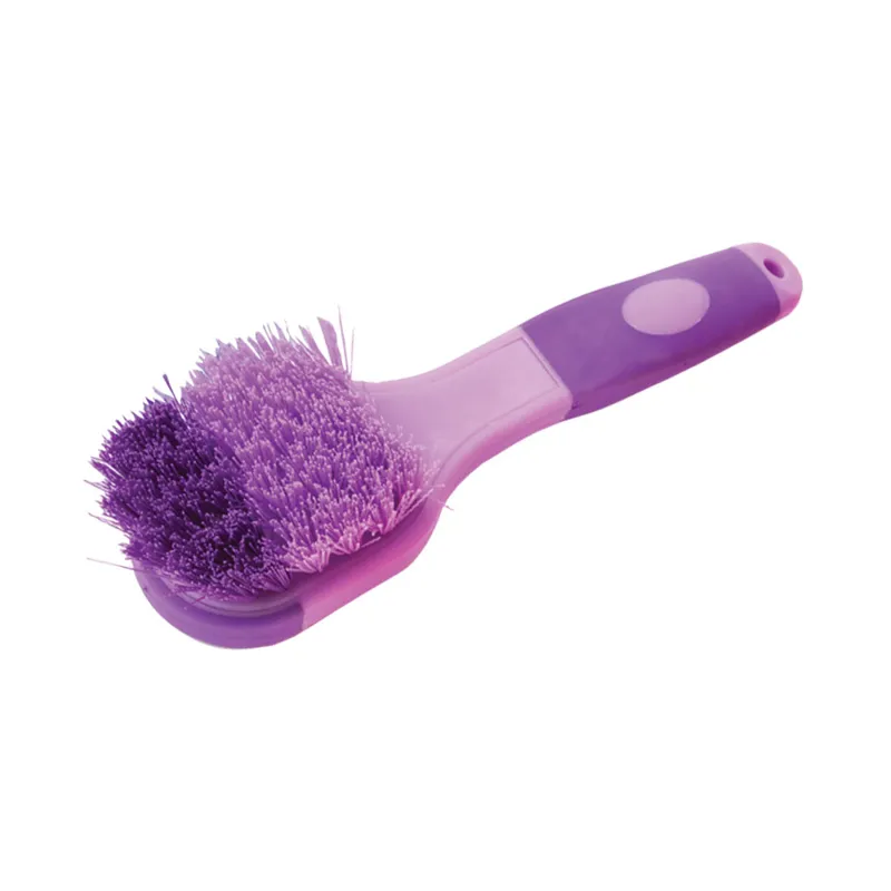 Lincoln Water Bucket Brush - Purple