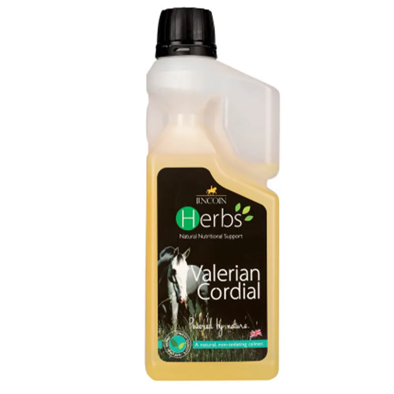 Lincoln Herbs Valerian Cordial-2