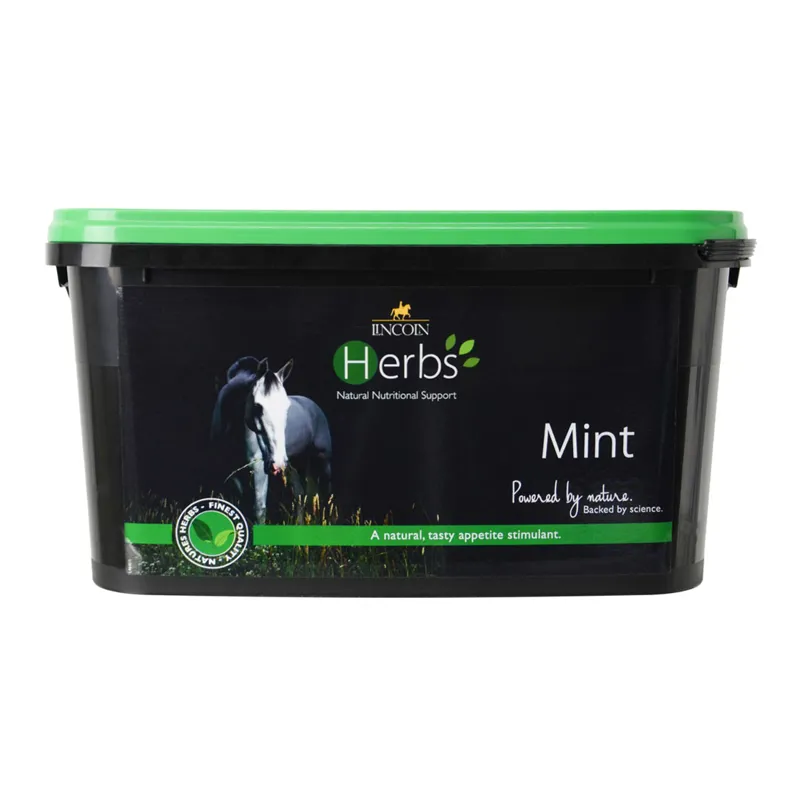 Lincoln Herbs Mint Natural Nutritional Support