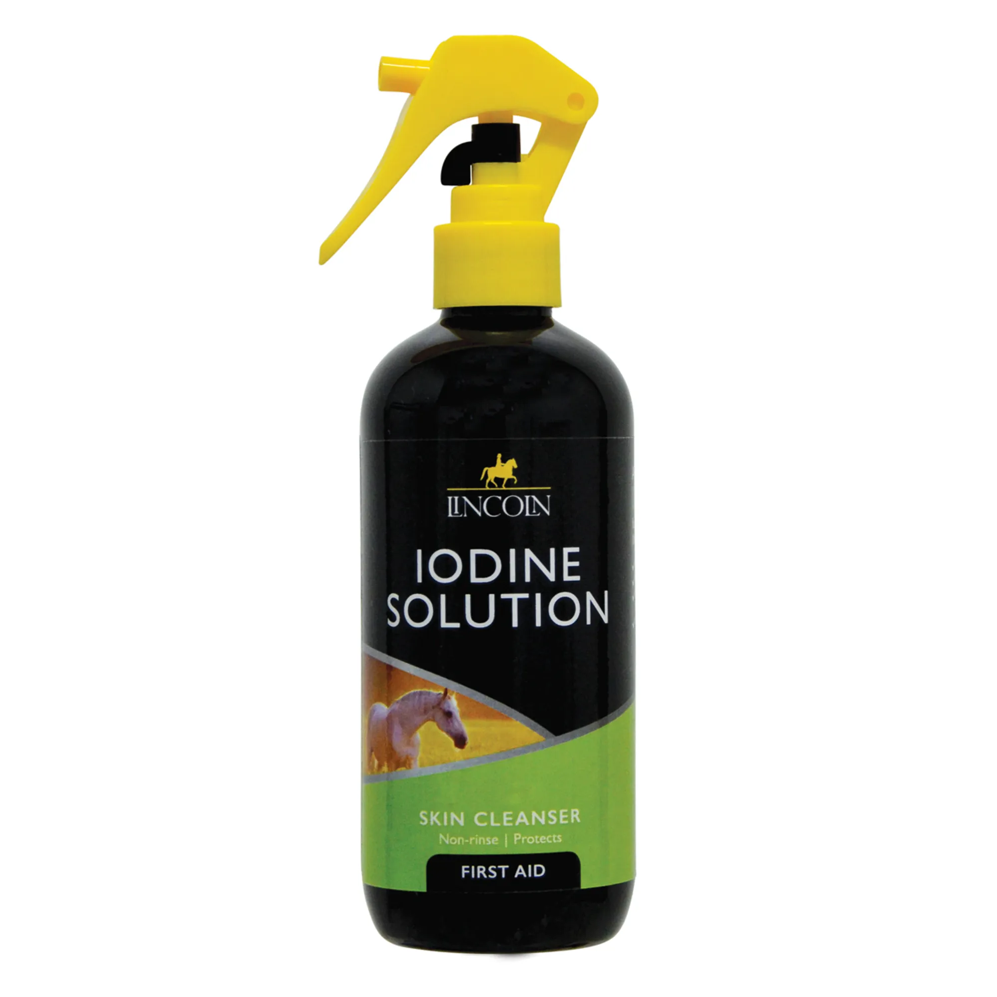 Iodine Solution Structure