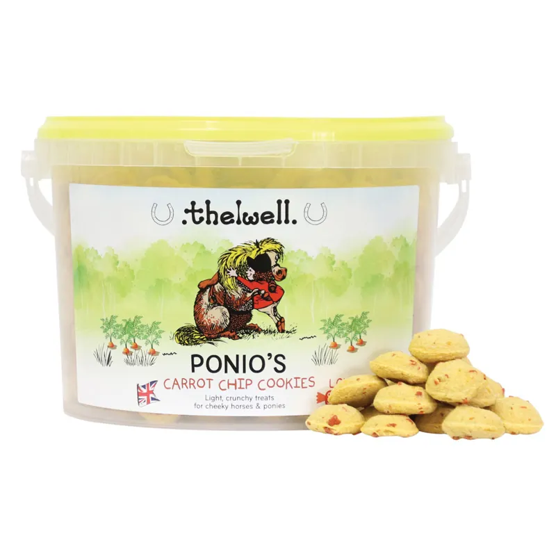 Lincoln Thelwell Ponio Treats-1