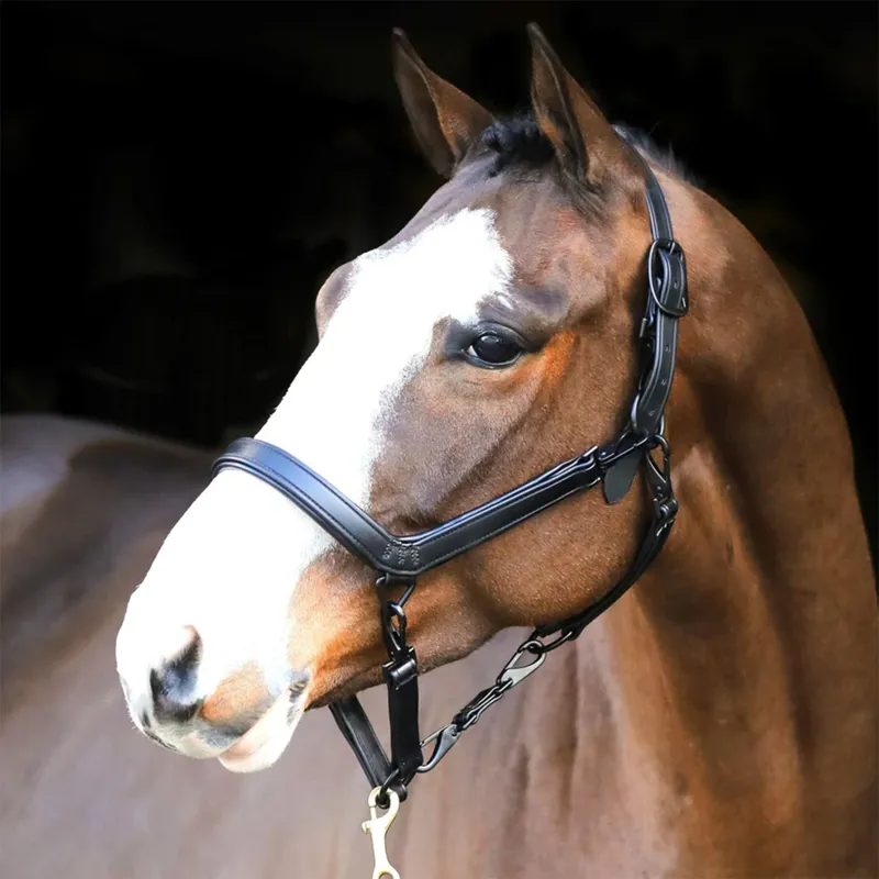 Liveryman Clipping Headcollar - Black