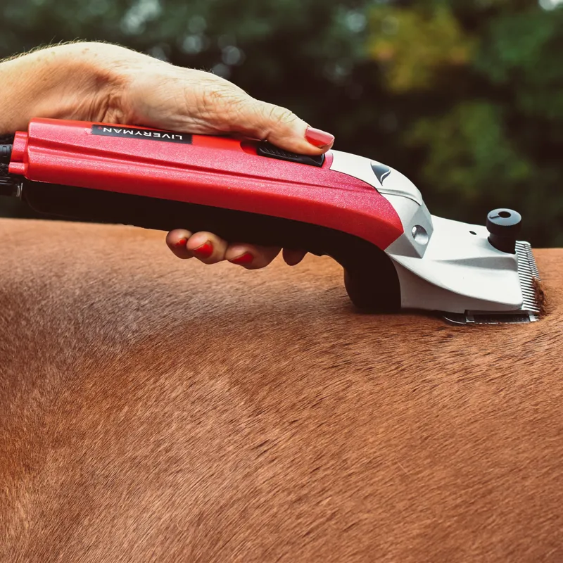 Liveryman Black Beauty Mains Horse Clippers-2