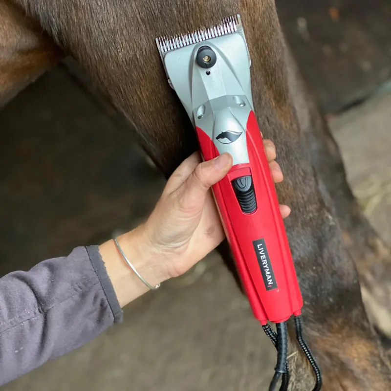 Liveryman Black Beauty Mains Horse Clippers-3
