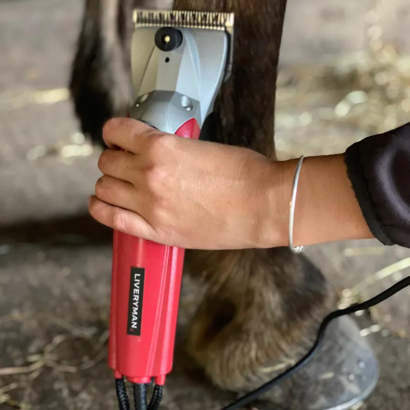 Liveryman Black Beauty Mains Horse Clippers-4
