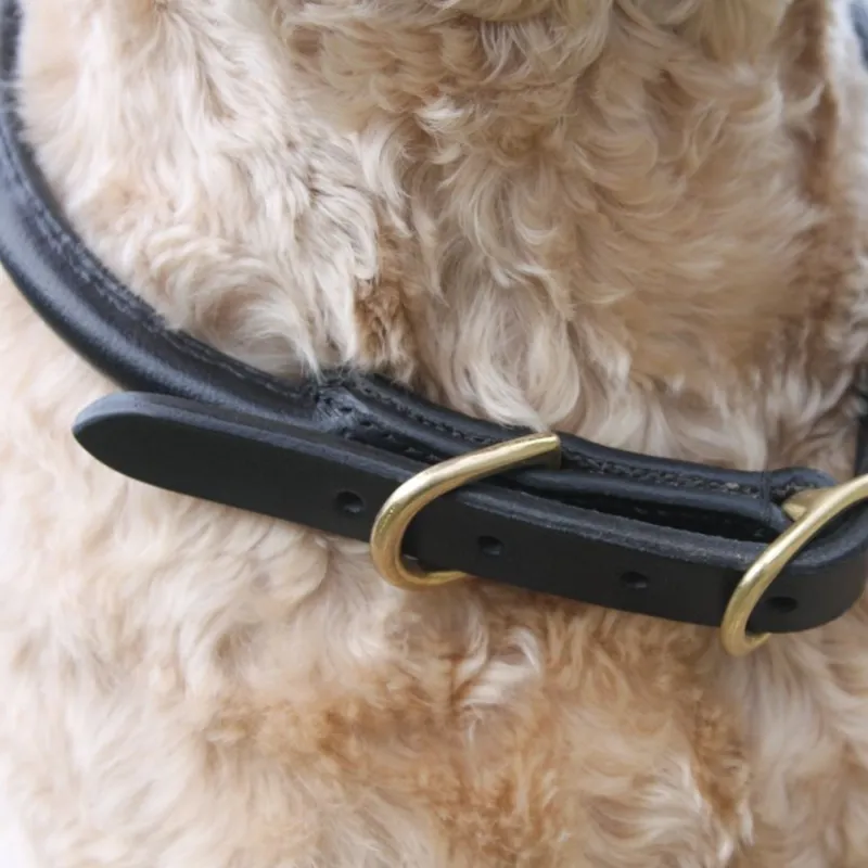Mackey Rolled Leather Dog Collar - Brown-1