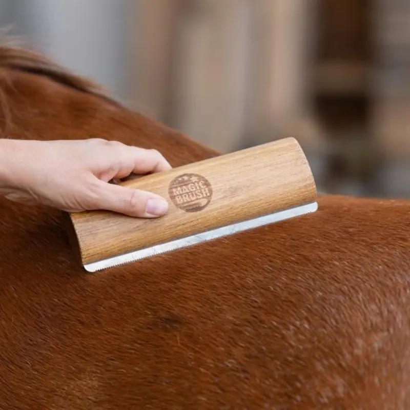 MagicBrush Fellboy Shedding Brush