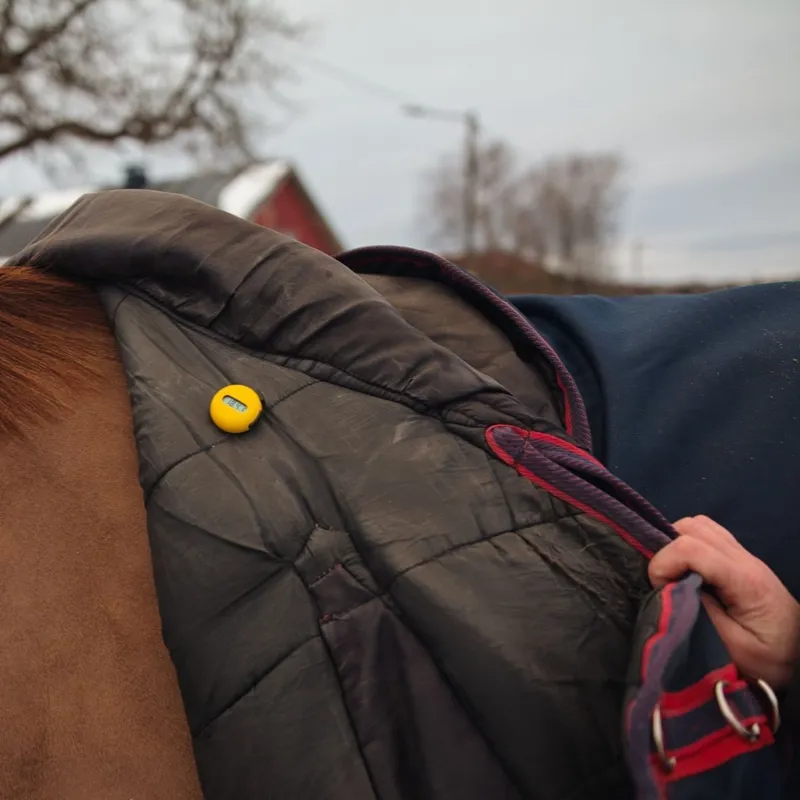 Meolinq MeoTemp Smart Horse Rug Temperature Sensor-1