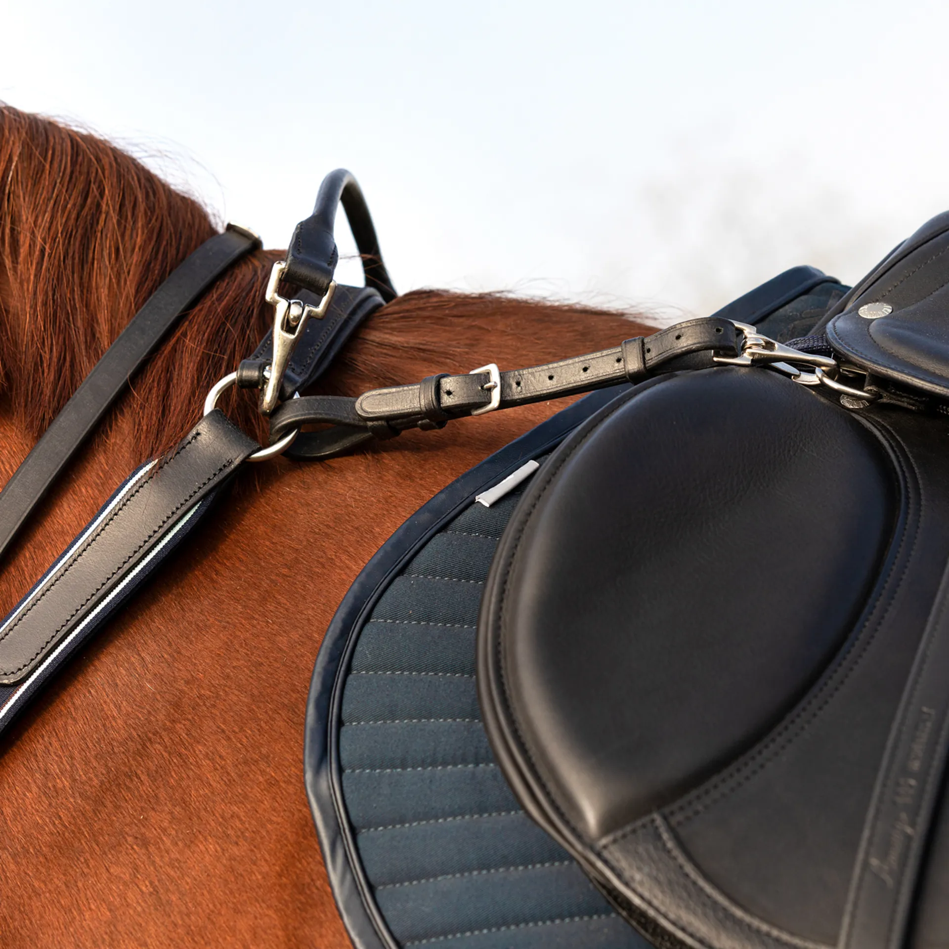 PUNTA DI RICAMBIO Punta Di Ricambio Elemento Riscaldante Oro 80 W PP Paraurti Auto Acciaio EUR - Foto 13