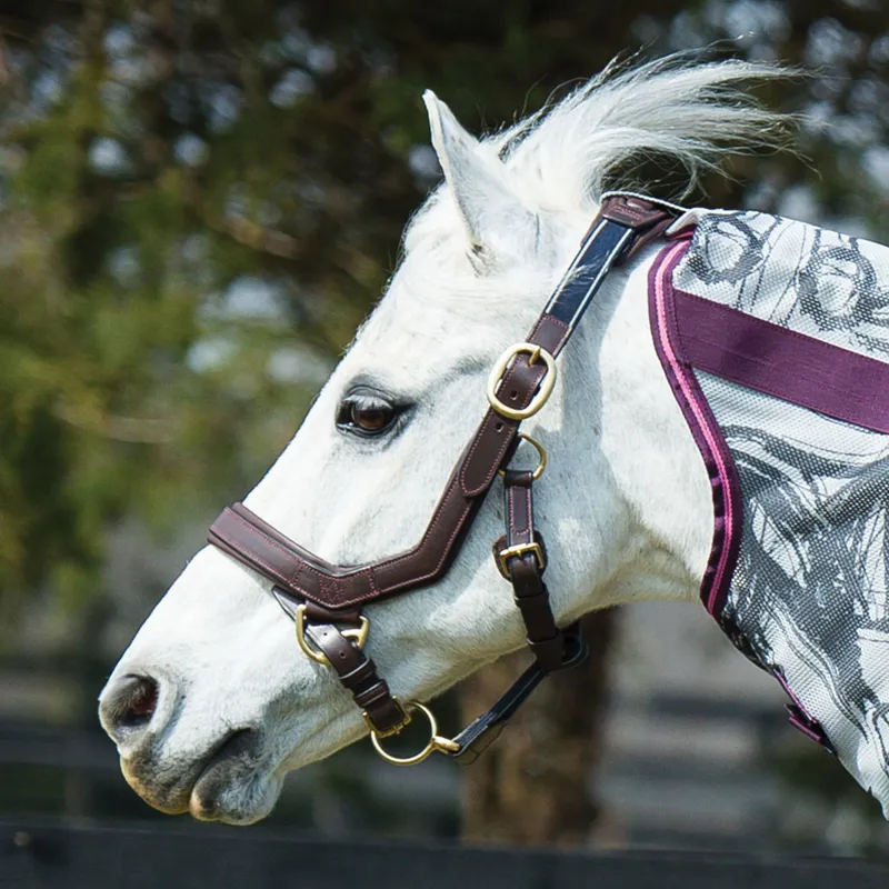 Rambo Micklem Leather Headcollar - Brown-2