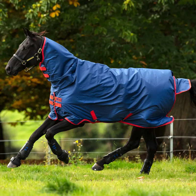 Mio All-In-One 350g Combo Neck Turnout Rug - Dark Blue/Red