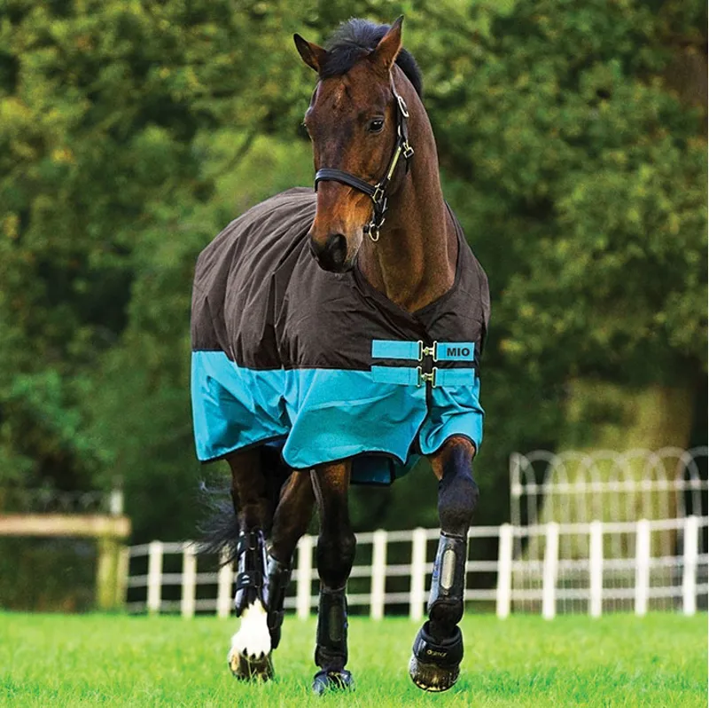 Mio Standard Neck 200g Turnout Rug - Black/Turquoise
