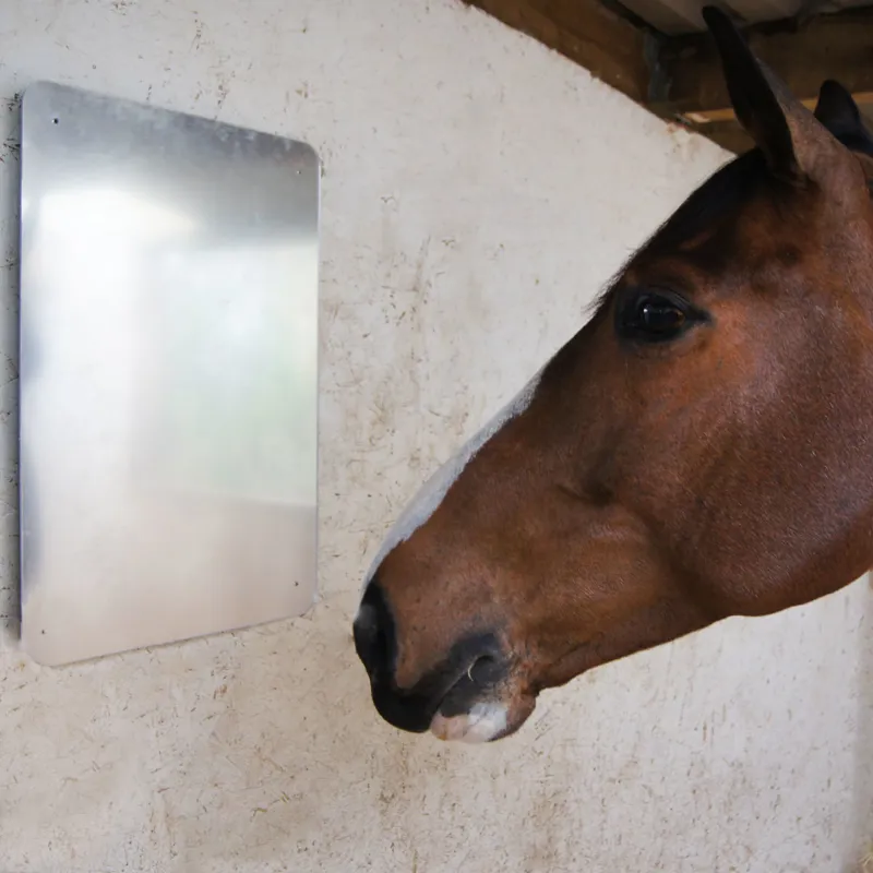 Saddlers Stable/Travel Mirror-1
