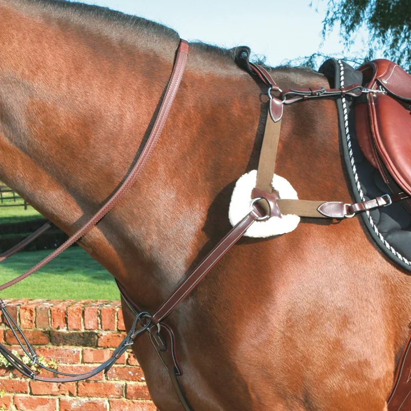 Mark Todd Deluxe 5-Point Breastplate - Havana