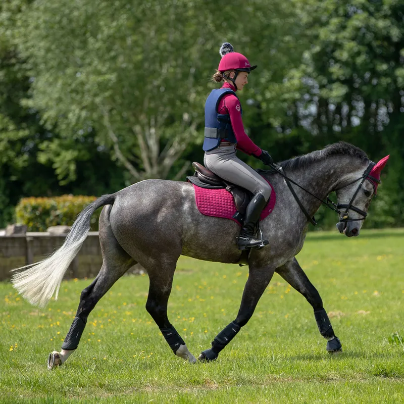 LeMieux Classic Fly Hood - Mulberry/Grey-3