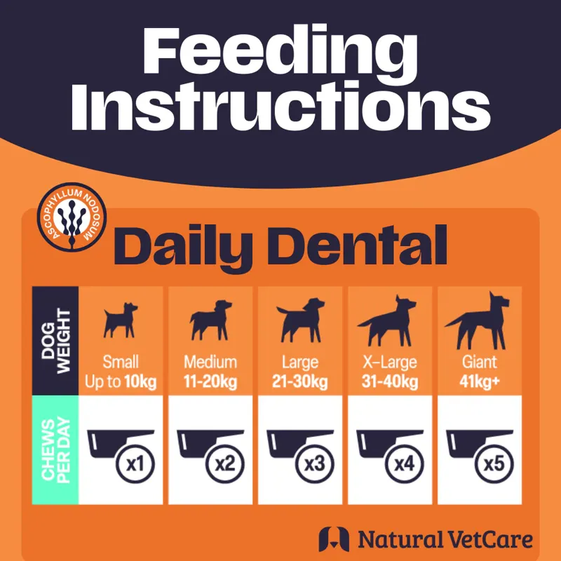 NAF NVC Daily Dental-1
