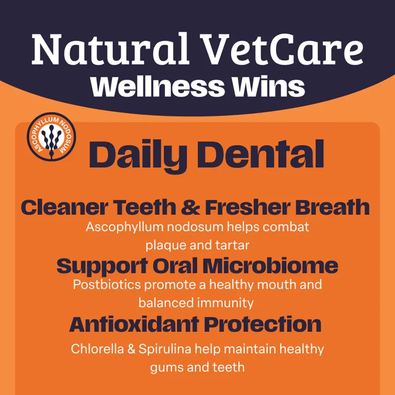 NAF NVC Daily Dental-2