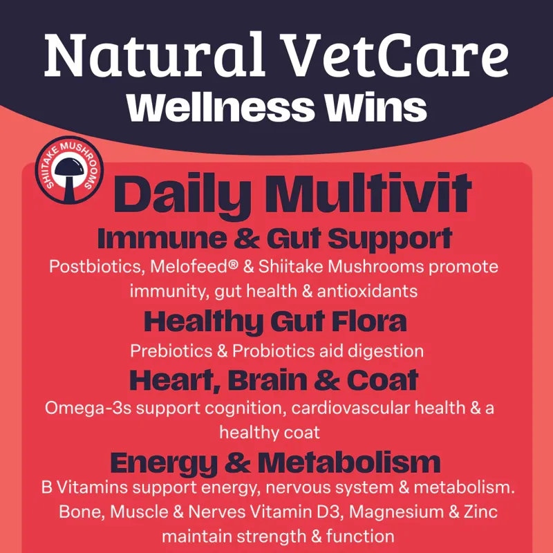 NAF NVC Daily Multivit-2