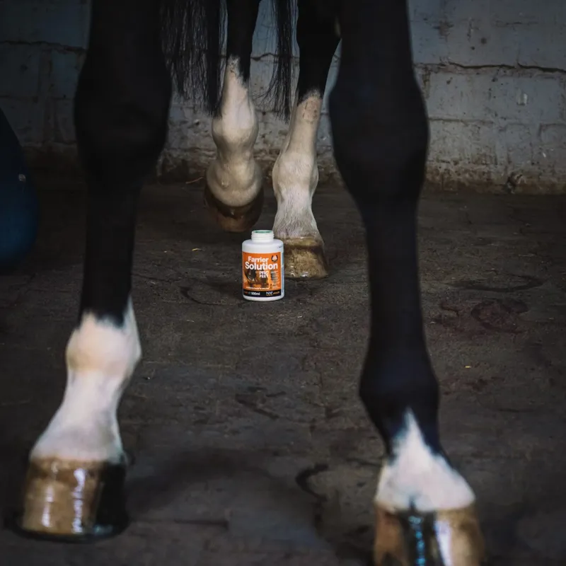 NAF Farrier Solution by PROFEET-1