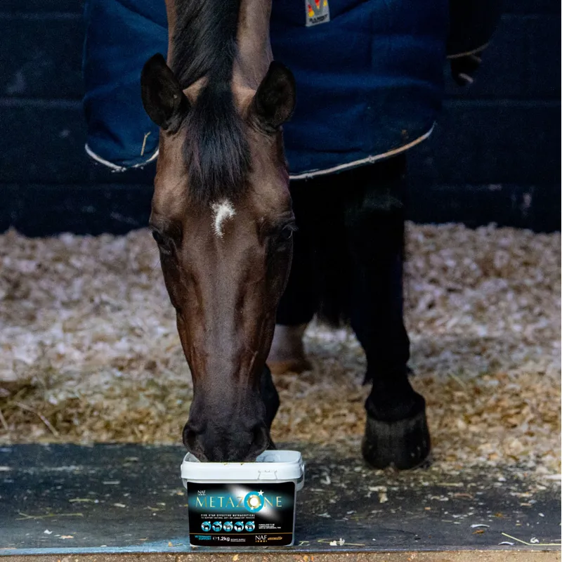 NAF Metazone Five Star Powder-4