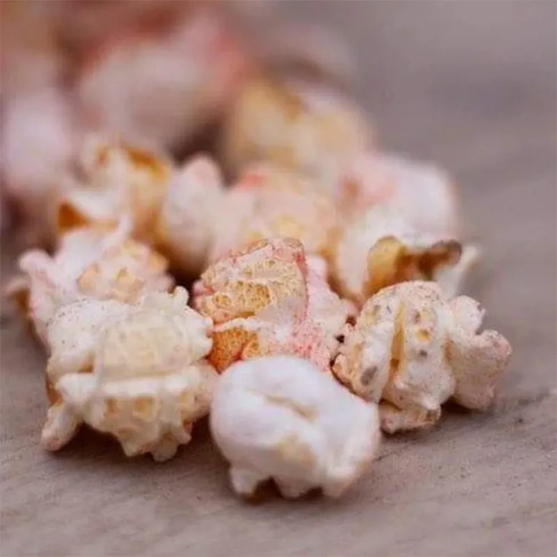 Nature's Grub Popcorn Treats - Fruit and Berry-1