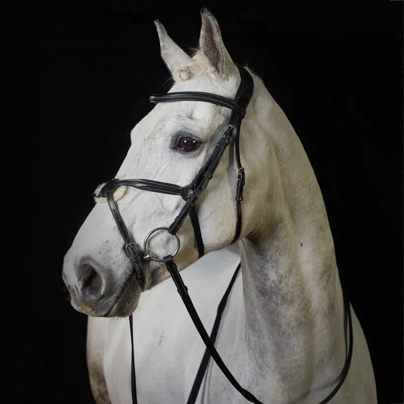 GFS PS Grackle Bridle - Black-1