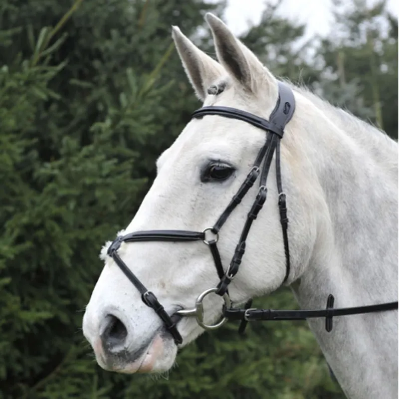 GFS PS Grackle Bridle - Black-2