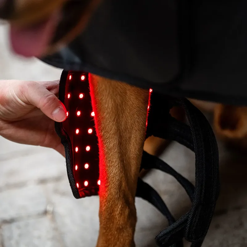 Horseware LED Red Light Therapy Pet Leg Wrap-2