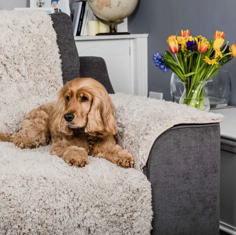 Pet Rebellion Comfy Arm Cover Sofa Protection Dog Blanket - Stone-2