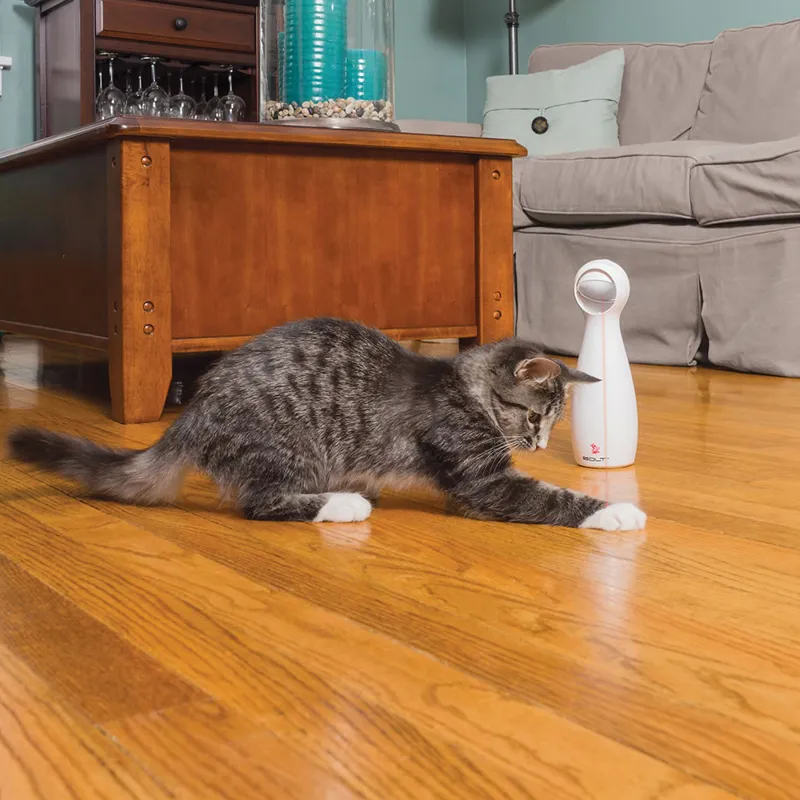 Petsafe Bolt Automatic Cat Laser Light Toy-1