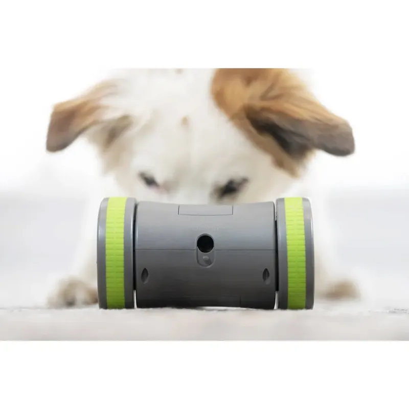 PetSafe Kibble Chase Roaming Pet Treat Dispenser-3