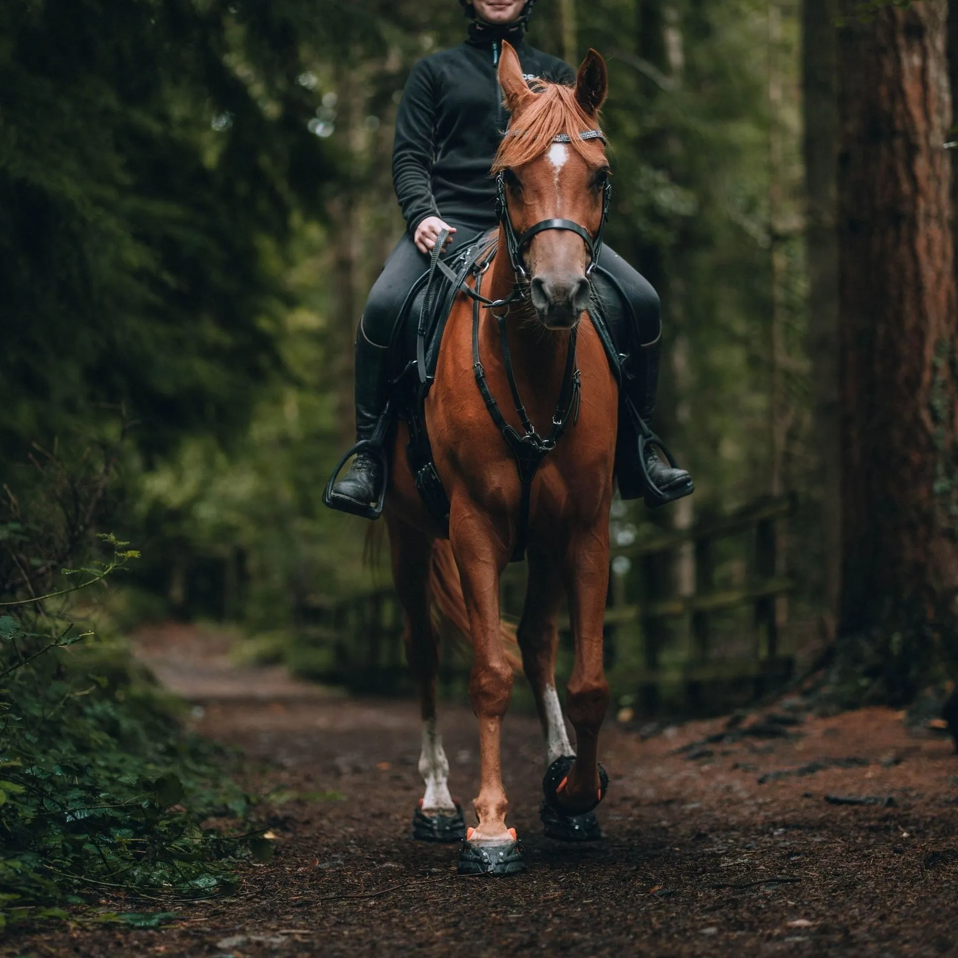 Pioneer Sports Hoof Boots women riding horse in woods