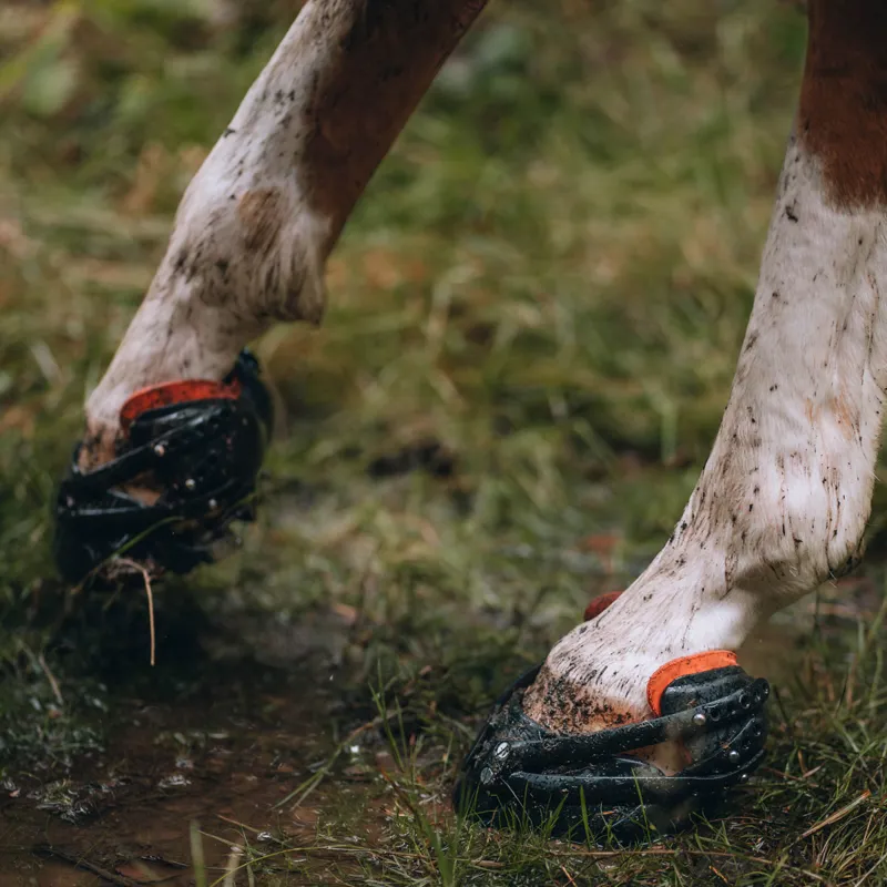 Pioneer Sports Hoof Boots - Pair-8