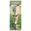 Platinum Slim 2027 Calendar - Donkeys